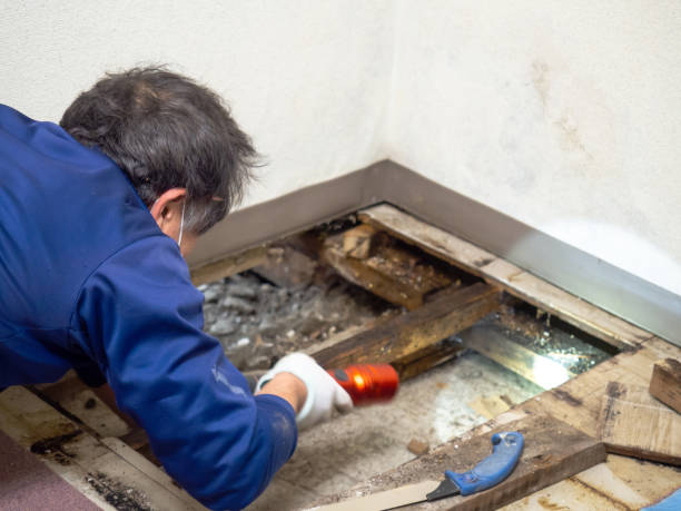 Crawl Space Mold Removal in Blackhawk, CA