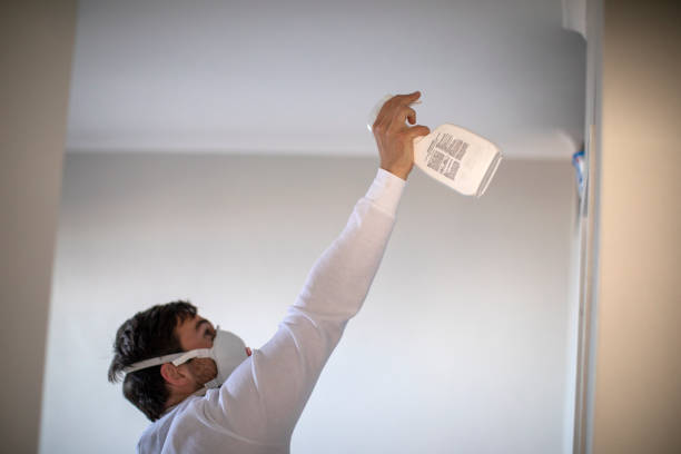 Best Black Mold Removal  in Blackhawk, CA
