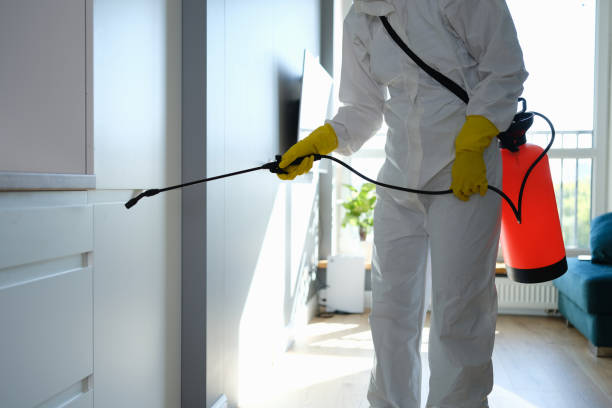 Best Crawl Space Mold Removal  in Blackhawk, CA