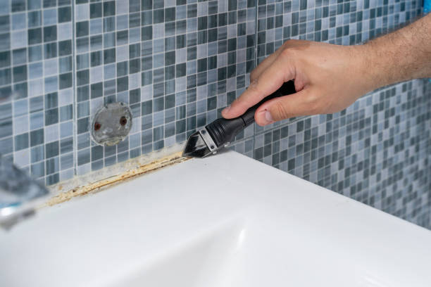 Best Residential Mold Removal  in Blackhawk, CA